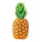 pina