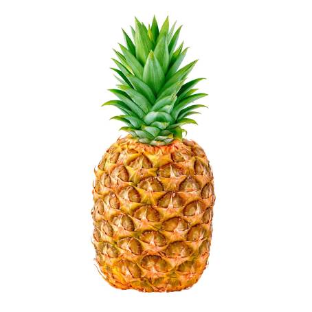 pina pina