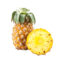pina2