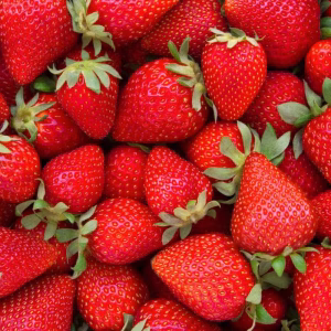 Fresa - .500 g