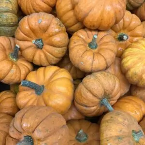 º calabaza halloween