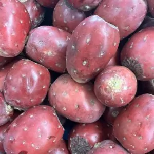 ºTUNA MORADA