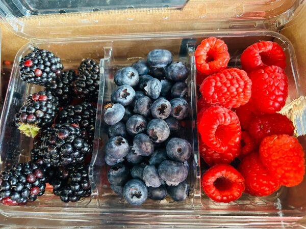 WhatsApp Image 2026-01-13 at 9.16.00 AM (1)